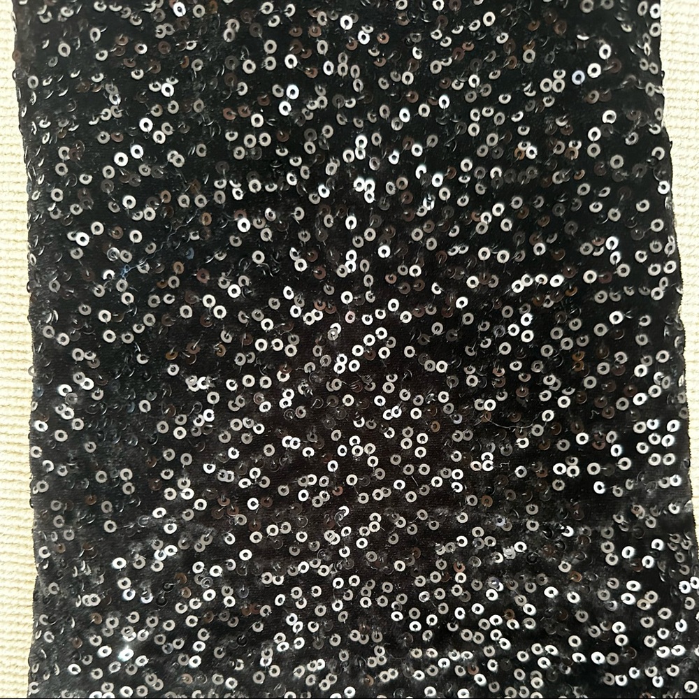 Sequin Pants - image 5